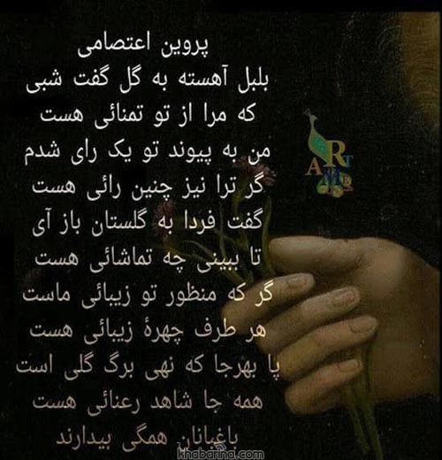 اشعار کوتاه از پروین اعتصامی