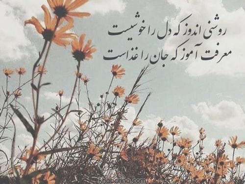 اشعار کوتاه از پروین اعتصامی