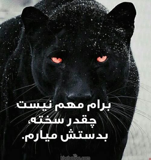 متن انگیزشی و انرژی بخش