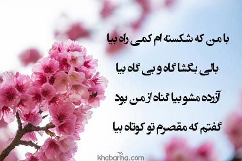 متن پیام عذرخواهی