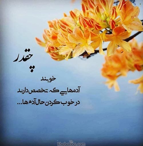 تبریک روز روانشناس به همسر