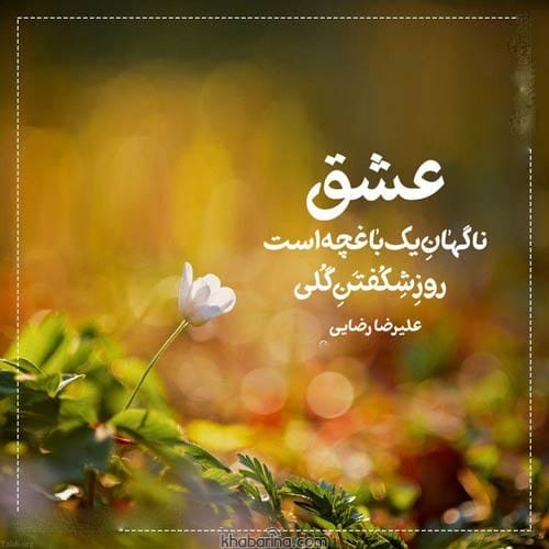 جملات زیبا در مورد عشق