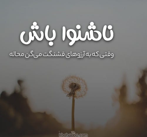جملات رسیدن به آرزو