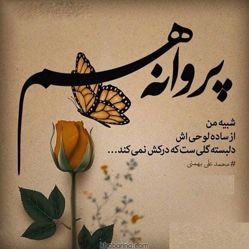 متن وابستگی یا دلبستگی