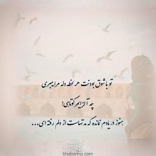 متن شوق دیدار عشق