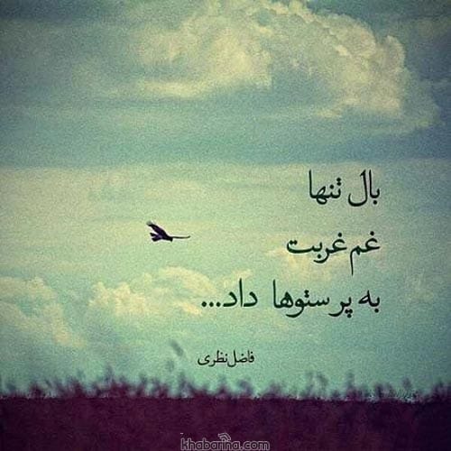 متن تنهایی در غربت