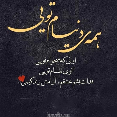 متن دلیل زنده بودنم