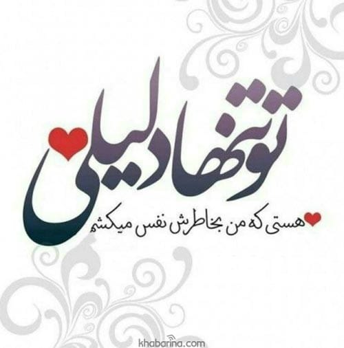 متن دلیل زنده بودنم
