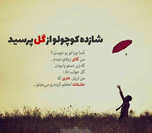 متن فلسفی تولد