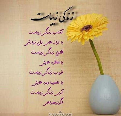 متن درباره ارزش زندگی