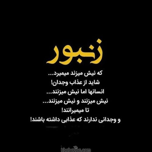جملات ادبی مبارزه با بی عدالتی