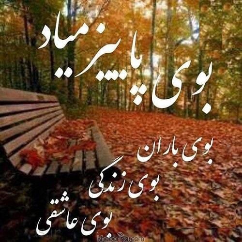 متن فصل عاشقی