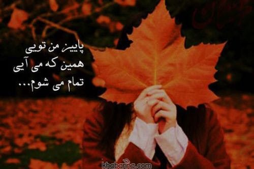 متن فصل عاشقی