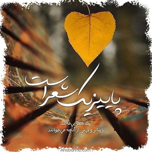 متن فصل عاشقی