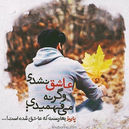 متن فصل عاشقی