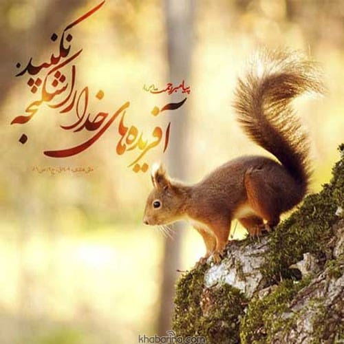 متن روز مبارزه با خشونت علیه حیوانات