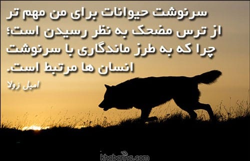 متن روز مبارزه با خشونت علیه حیوانات