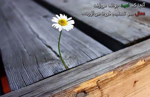 سخنان معجزه گر
