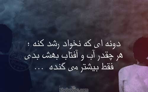 جمله احساسی آدم بی لیاقت