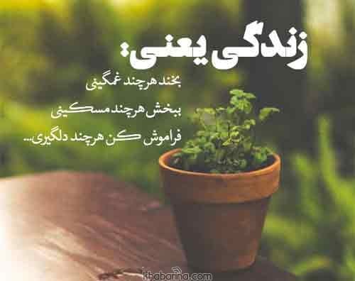 جملات گذشت کردن
