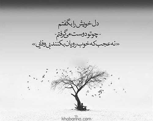 جملات شکسته نفسی