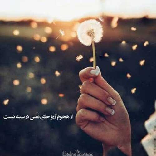 جملات رویایی زیبا