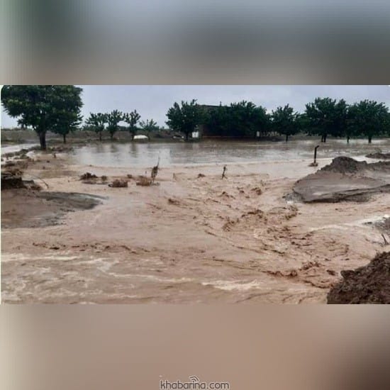تعبیر خواب سیل