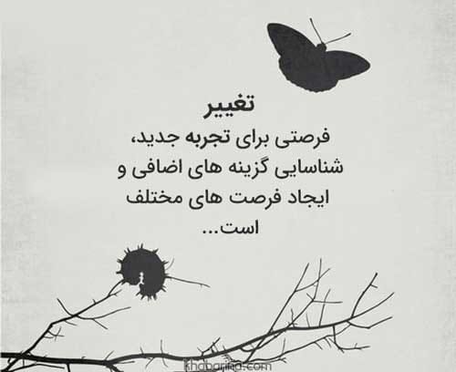 جملات ناب تجربه