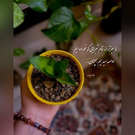 جدیدترین عکس نوشته 2023