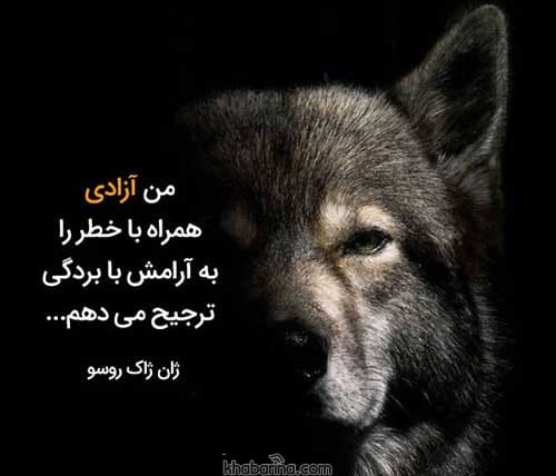 جملات دنیای آزاد