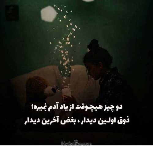 جملات دیدار دوست