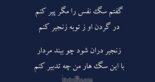 جمله وفاداری سگ