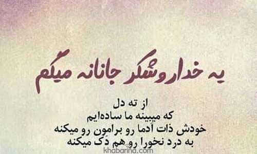 جمله وفاداری سگ