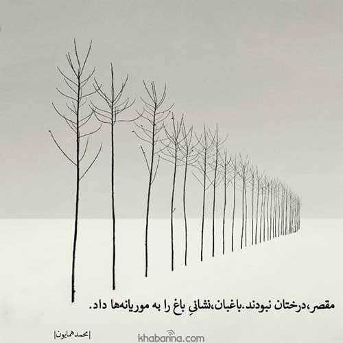 جملات مقصر دانستن عشق