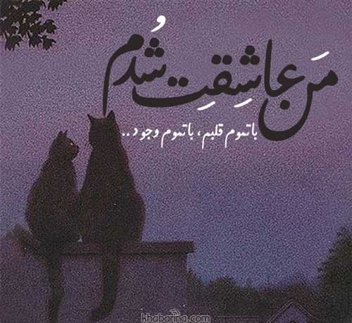جملات عاشق شدم