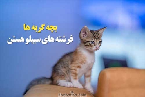 جملات مرموز عاشقانه