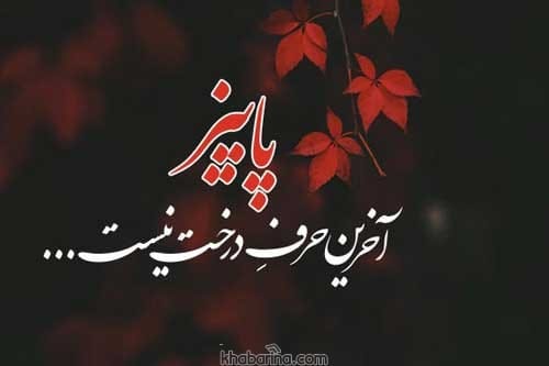 جملات مرموز عاشقانه
