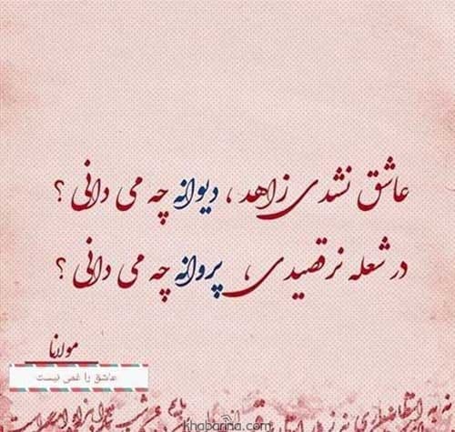 جملات عاشق دیوانه