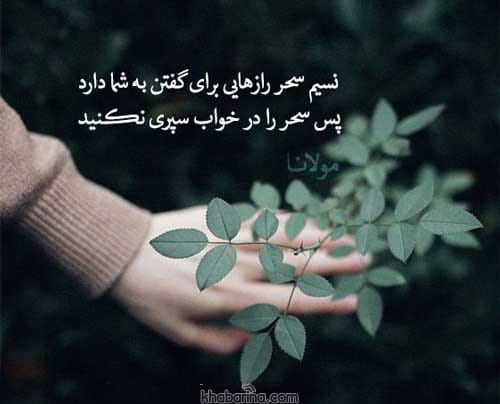 جملات شروع روز خوب
