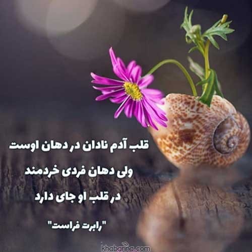 جملات بزرگان درباره نادانی