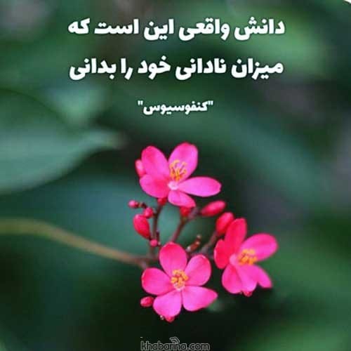 جملات بزرگان درباره نادانی