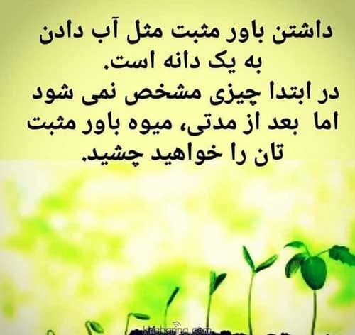 جملات موفقیت در زندگی