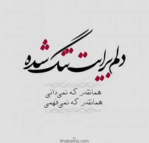 جملات دلم برات تنگ شده