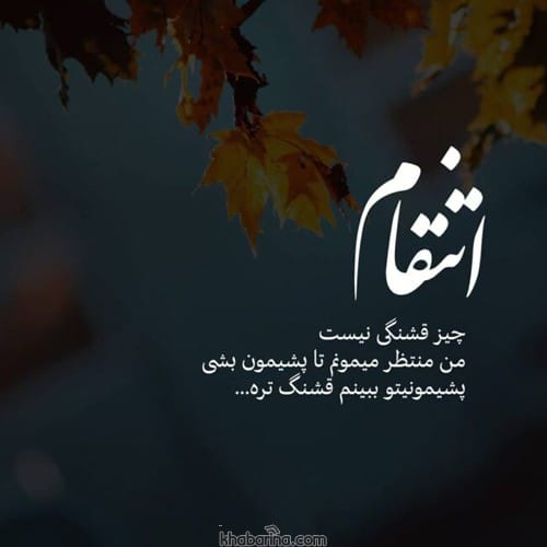 جملات زیبا تقاص
