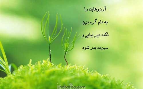 تبریک عاشقانه 13 بدر