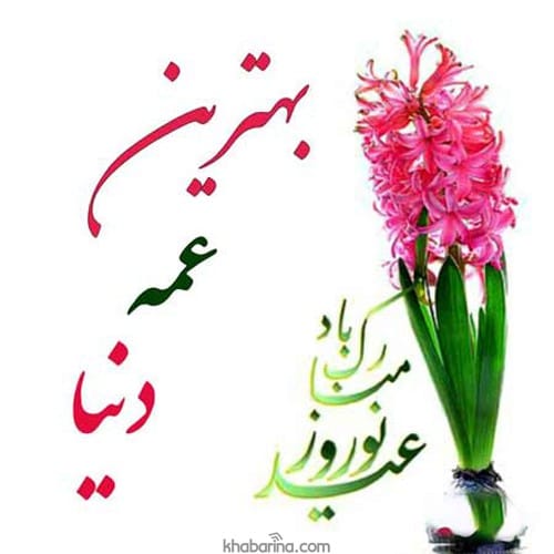 تبریک عید به عمه + تبریک سال 1402 به عمه و شوهر عمه