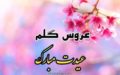  تبریک عید به عروس و داماد 1402