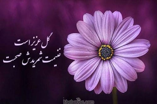 متن انگیزشی گل