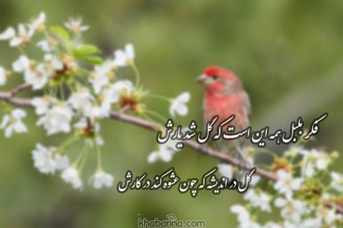 متن انگیزشی گل