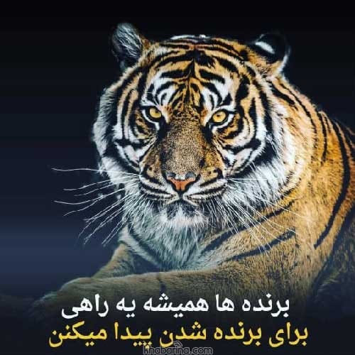 عکس های انگیزشی جدید